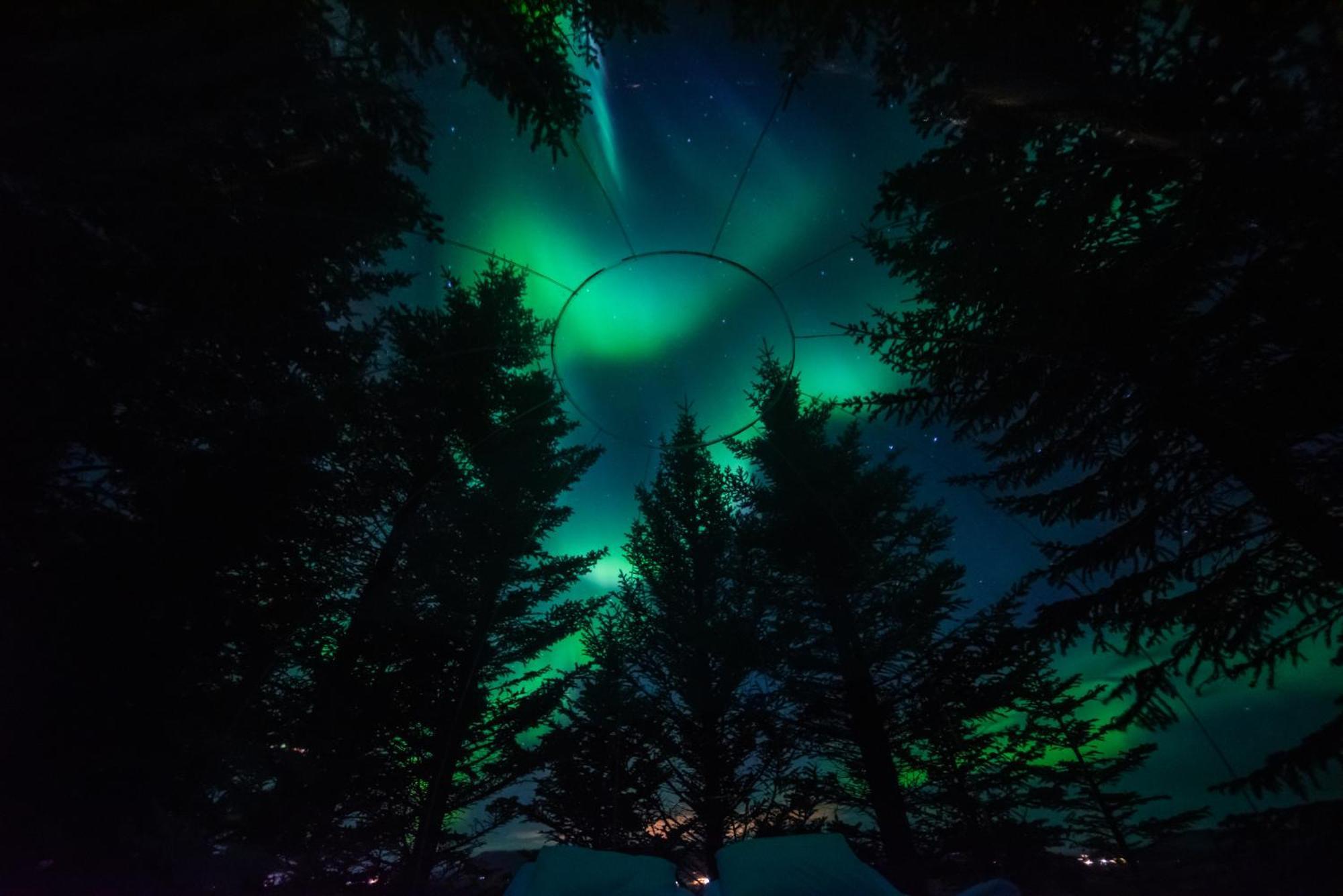 Buubble Hotel - Oelvisholt Selfoss Zewnętrze zdjęcie